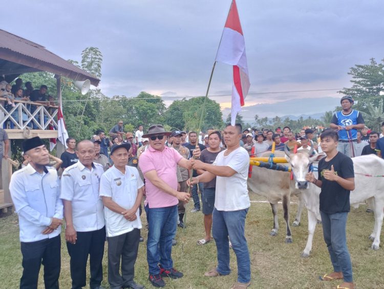 Pj Bupati Limi Mokodompit Buka Lomba Karapan Sapi