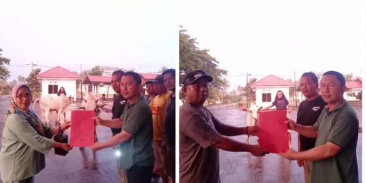 Pemkab Bolmong Sumbang Enam Ekor Sapi