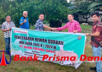 Bank Prisma Dana Lolak Sumbang Satu Ekor Sapi Kurban