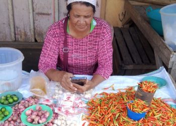 Dinas Ketapang Bolmong Rilis Harga Bapok di Pasar Inobonto Rabu 24 Juli 2024