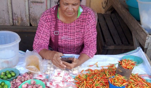 Dinas Ketapang Bolmong Rilis Harga Bapok di Pasar Inobonto Rabu 24 Juli 2024