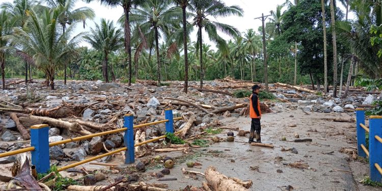 Banjir di Kecamatan Lolayan Bawa Material Pohon Kayu dan Bebatuan