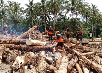 Penampakan Tumpukan Batang Pohon Pasca Banjir di Desa Mengkang