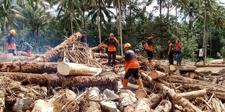 Penampakan Tumpukan Batang Pohon Pasca Banjir di Desa Mengkang