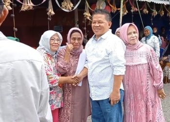 Nayodo Koerniawan dan Rekam Jejak Karier Politik