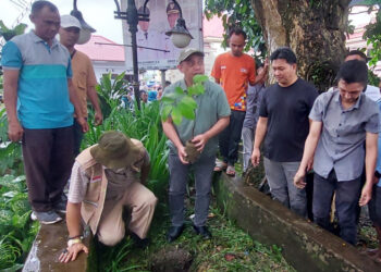 Bupati Yusra Alhabsyi Pimpin Penanaman Bibit Buah