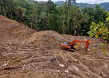 Tambang Ilegal di BMR Makin Menggurita. Siapa yang Backup