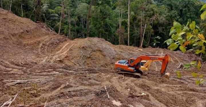 Tambang Ilegal di BMR Makin Menggurita. Siapa yang Backup