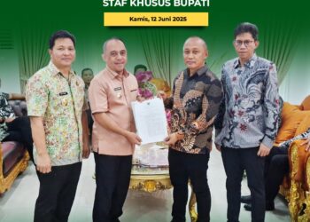Ini Tugas dan Fungsi Staf Khusus Bupati