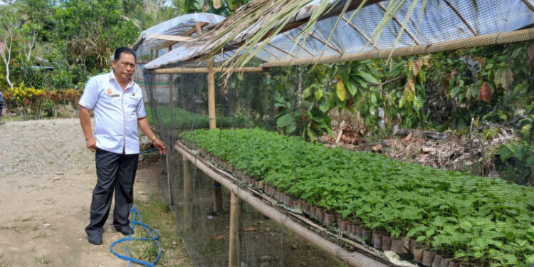 Jaga Ketahanan Pangan, DKP Bolmong Kerjasama TP PKK Gerakan Tanam Cabai