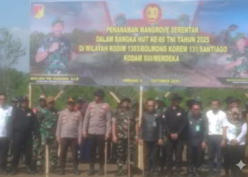 Pemkab Bolmong dan TNI Gelar Penanaman Mangrove di Pesisir Ambang