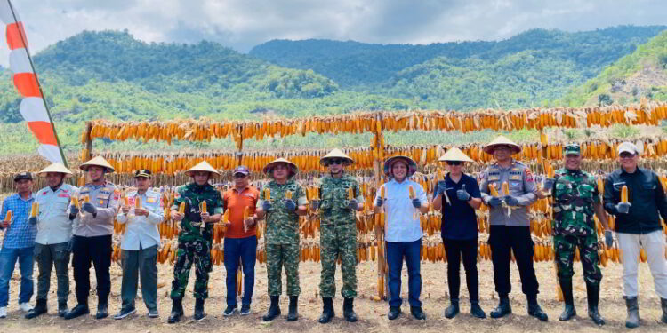 Sinergi Pemerintah, TNI/Polri dan Swasta Wujudkan Ketahanan Pangan di Bolmong