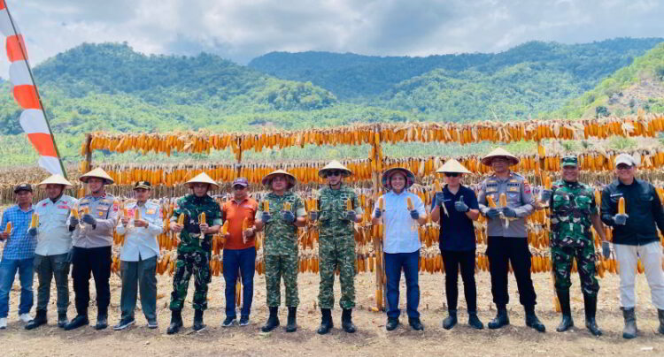 Sinergi Pemerintah, TNI/Polri dan Swasta Wujudkan Ketahanan Pangan di Bolmong