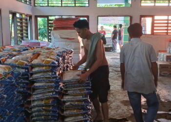 Bapanas Salurkan 20 Ton Beras untuk Korban Banjir di Bolmong