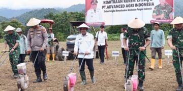 Produksi Tanaman Pangan Bolmong Meningkat Sepanjang 2025