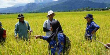 Tiga Penyuluh Bolmong Raih Penghargaan Kementan RI 2025