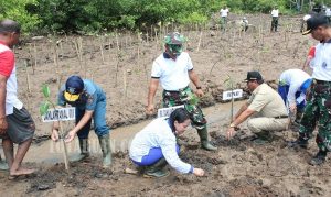 Bupati Salihi Mokodongan bersama Lantamal VIII Manado saat melakukan penanaman bibit Mangrove